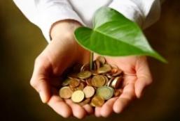 Imagem da notícia - Relatório aponta Economia Verde como solução para reduzir pobreza