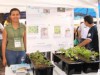 Ciência na Feira aproxima população da ciência (Foto: Jessie Silva/Ag.FAPEAM)