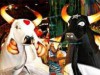 Bois-bumbás de Parintins serão alvo de pesquisa de doutorado (Foto: Reprodução)