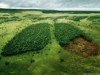 Temática de meio ambiente e saúde chamam atenção de comunicadores (Foto: Reprodução)
