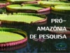 Pró-Amazônia visa estimular a realização de projetos de pesquisas em Instituições de Ensino Superior (Foto: Reprodução)