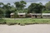 Área de várzea (Foto: Arlesson Sicsú)