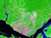 Vista da cidade de Manaus por satélite (Foto: Reprodução)