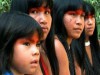 A partir de uma perspectiva histórica, pesquisa analisou condições de saúde e tratamento oferecidos à população indígena do Amazonas (Foto: Reprodução)