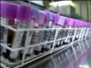 Os interessados devem optar entre duas linhas de pesquisa: Segurança Transfusional e Anemias e Onco-Hematologia (Foto: Reprodução)