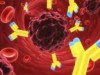 Nanopartícula poderá levar medicamento às célular cancerígenas (Imagem: reprodução)