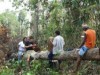 (Foto: Reprodução)