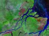 Imagens de satélite da Amazônia (Foto: Reprodução)