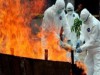 Agentes da vigilância sanitária da Indonésia jogam ave infectada pela gripe aviária ao incinerador em 2010 (Foto: Reprodução/EFE)