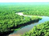 Quatro instituições de financiamento irão conhecer as diretrizes do Plano de Ação em Ciência, Tecnologia e Inovação para a Amazônia  (Foto: Reprodução)