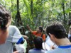 Alunos do 7º ano do ensino fundamental no Jardim Botânico em Manaus. (Foto: Maria das Graças Cascais)