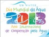 A Organização das Nações Unidas (ONU) elegeu 2013 como o Ano Internacional de Cooperação pela Água (Foto: Reprodução)