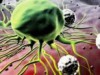 Pesquisas de iniciação científica em oncologia apontam para caminhos no tratamento da doença (Foto: Reprodução)