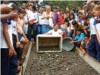 Soltura de quelônios (Foto: Reprodução)