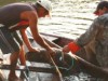 O manejo proporciou ao pescador um faturamento bruto médio de R$ 1.586,92, segundo o Instituto Mamirauá (Foto: Rafael Rabelo/Insitituto Mamirauá)