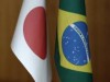 CNPq e JST estão consolidando uma chamada pública conjunta para a área de nanobiotecnologia. (Foto: Reprodução)