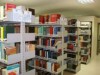 (Foto: Reprodução)