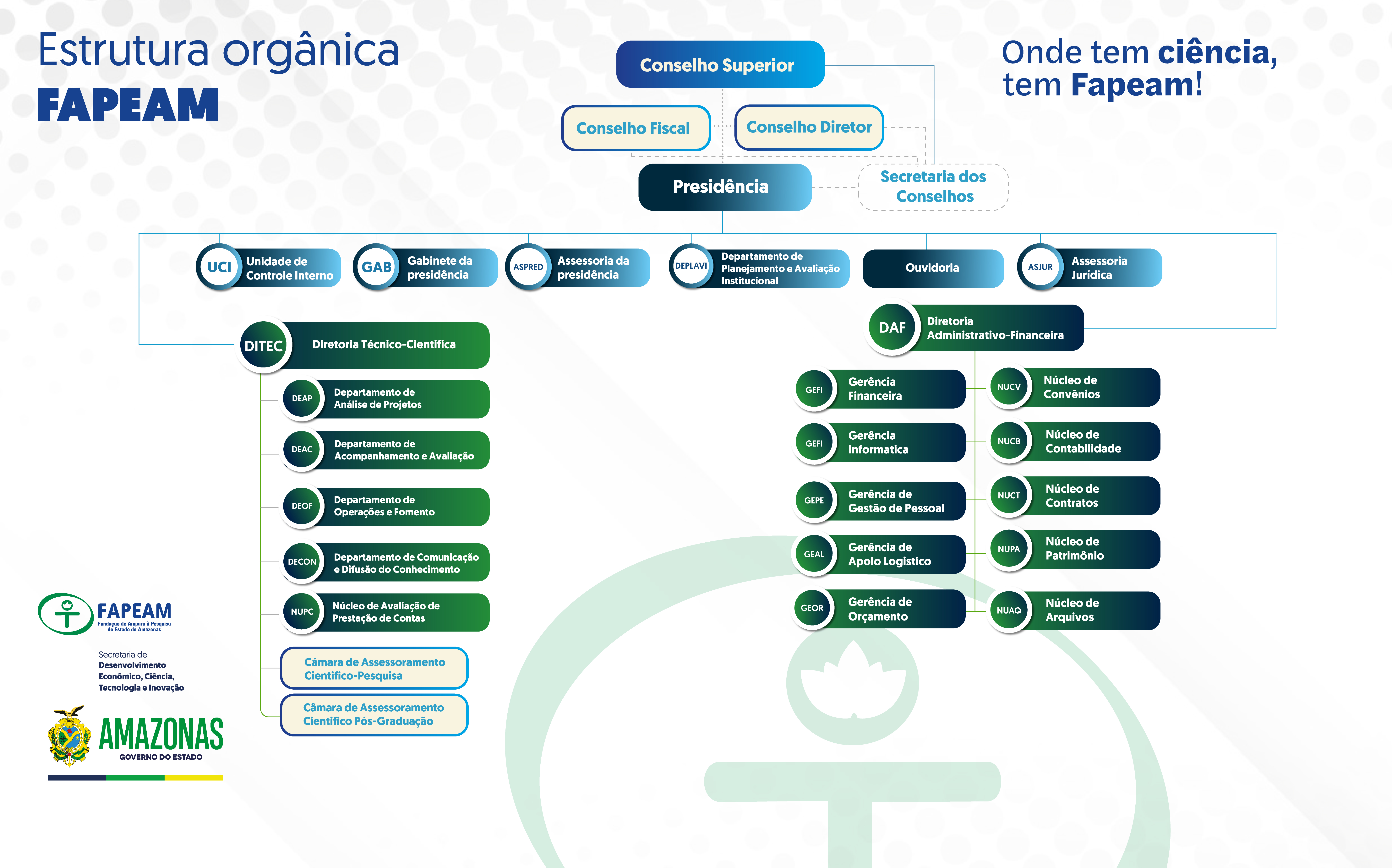 Organograma