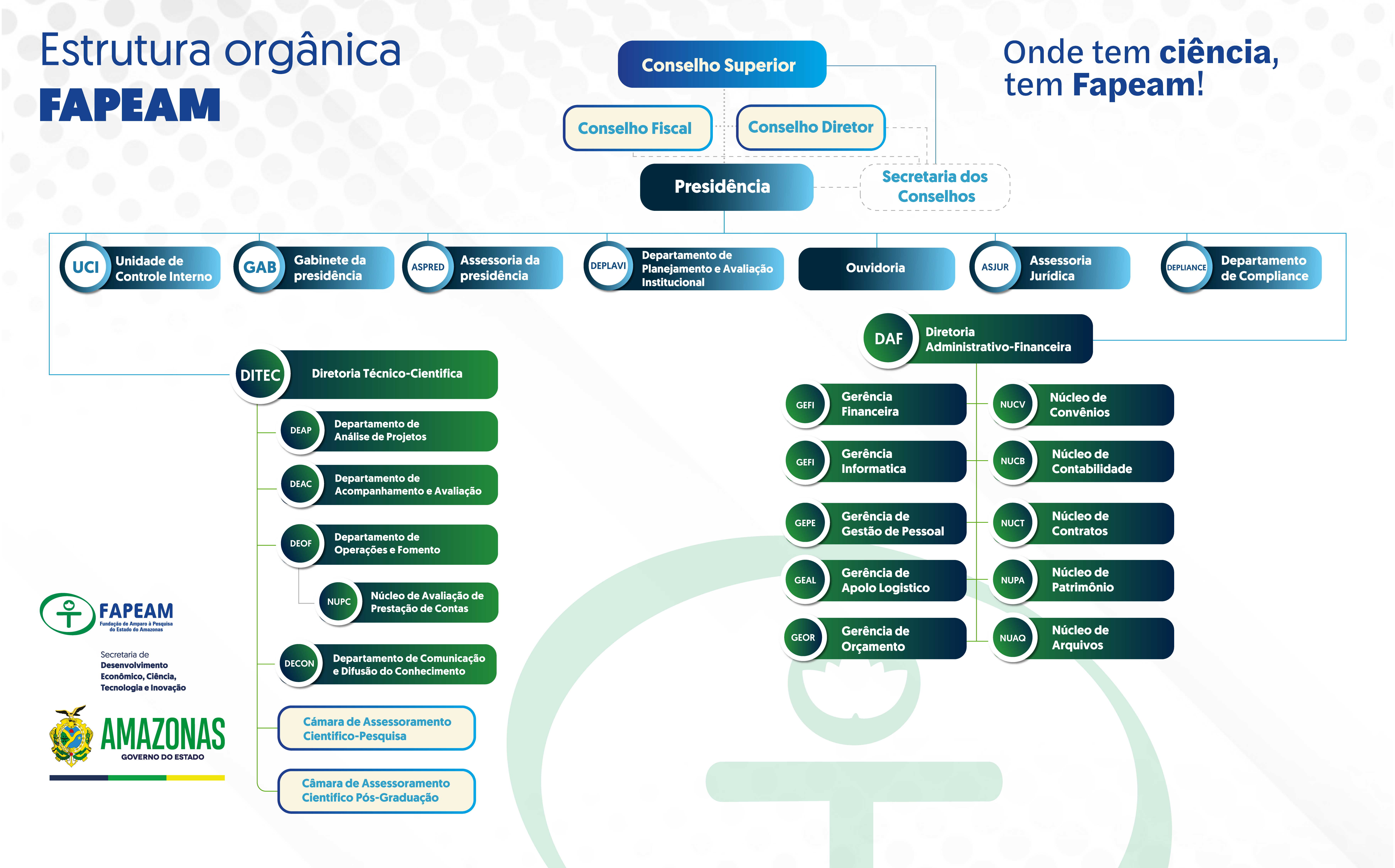 Organograma