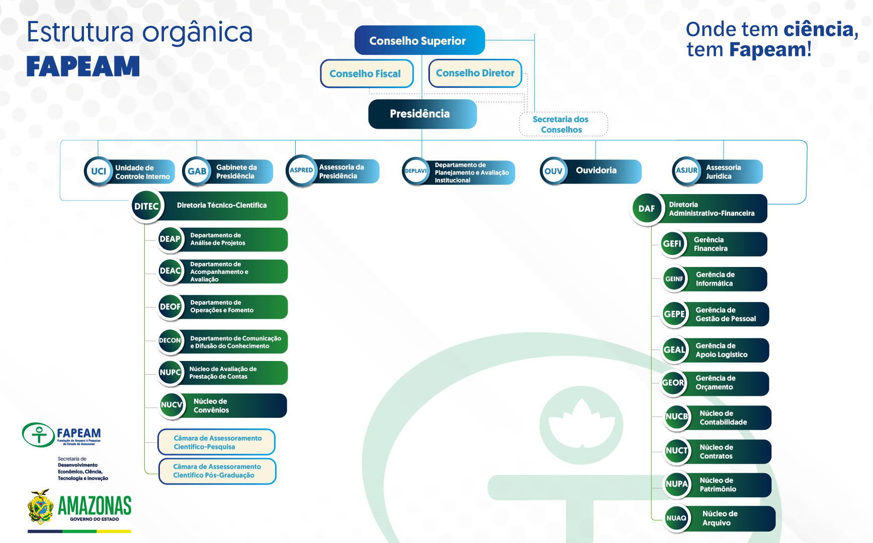 Organograma