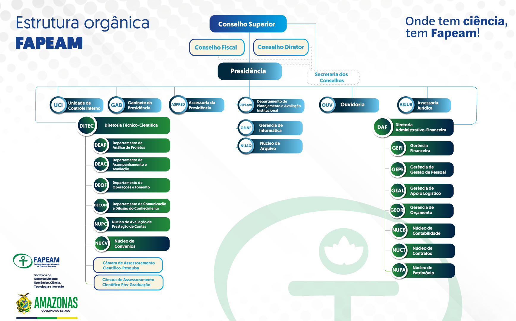 Organograma