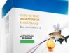 Óleo de peixe Amazônico enriquecido com espécie de fungos regionais (Imagem: CIÊNCIAemPAUTA)
