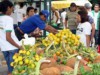 Pesquisa demonstra que, em Manaus, muitos comerciantes nunca ouviram falar da bactéria causadora da febre tifóide (Foto: Manoel Vaz/Semcom)