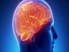a estimulação cerebral profunda ajuda a melhorar os movimentos comprometidos pela doença (Imagem: Reprodução)