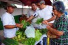 20130515140324feiradeprodutosorganicos3
