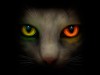 teste_spweb