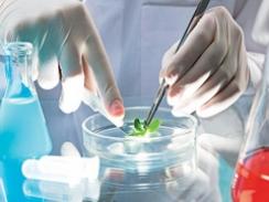 Imagem da notícia - Biotecnologia é a área em que o Brasil precisa investir mais recursos em inovação