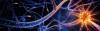 Até agora, os cientistas consideravam que a perda da memória era um dos primeiros sintomas do mal de Alzheimer, mas cada vez mais indícios levam a crer que se trata de um fenômeno que afeta o giro denteado, uma subárea do hipocampo (Foto: Reprodução)