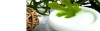 O objetivo é estimular o crescimento do setor de bionegócios no Estado nas áreas de biofármacos, biocosméticos e alimentos (Foto: Divulgação)