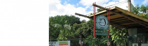 Imagem da notícia - 2ª edição do Projeto Espiral da Ciência acontece nesta sexta, no Parque do Mindu