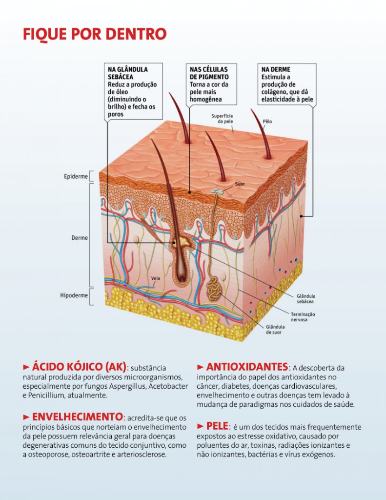 Infográfico