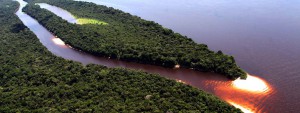 Imagem da notícia - Inpa homenageia cientistas com Menção Honrosa Rio Negro