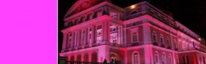 Imagem da notícia - Outubro Rosa será lançado dia 1º na Ponta Negra