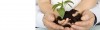Child and adult hands holding new plant with soil