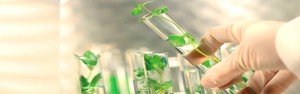 Imagem da notícia - Curso promovido pela Embrapa aborda práticas de base ecológica