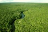 Falta-de-recursos-naturais-pode-prejudicar-a-Amazonia[1]