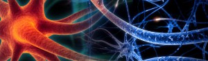 Imagem da notícia - Pesquisa em ratos identifica neurônios que levam a comer compulsivamente