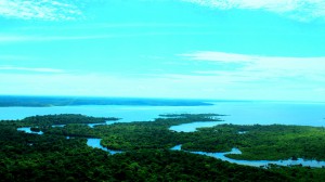 Anavilhanas. (Foto: Denison Silvan)