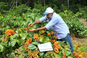 Foto: (Felipe Rosa- Embrapa)