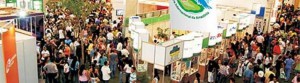 Imagem da notícia - Inscrições abertas para o Fórum do Pacto pela Educação na Feira Internacional da Amazônia