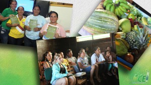 Imagem da notícia - Projetos do PCE em Mamirauá encerram as atividades