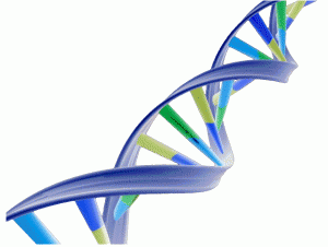Imagem da notícia - Cientistas descobrem novo código de DNA relacionado ao controle genético