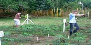 Imagem da notícia - Alunos de Agronomia da Ufam fazem experimentos que envolvem o manejo de milho, feijão e mandioca