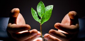 Imagem da notícia - Curso a distância de avaliação de ciclo de vida recebe inscrições