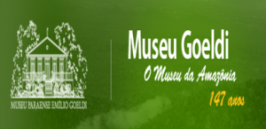 Imagem da notícia - Museu Paraense Emílio Goeldi abre inscrições para bolsas de iniciação científica