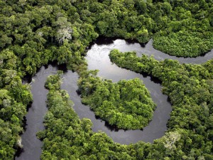 Imagem da notícia - Plano de Ação de Ciência, Tecnologia e Inovação para Amazônia reúne gestores de CT&I em Manaus